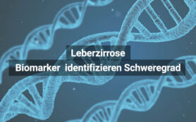 Leberzirrose Biomarker Diagnose