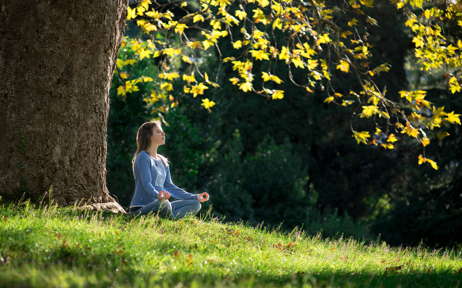 Work Life Balance Tipps Und Methoden Für Ärzte