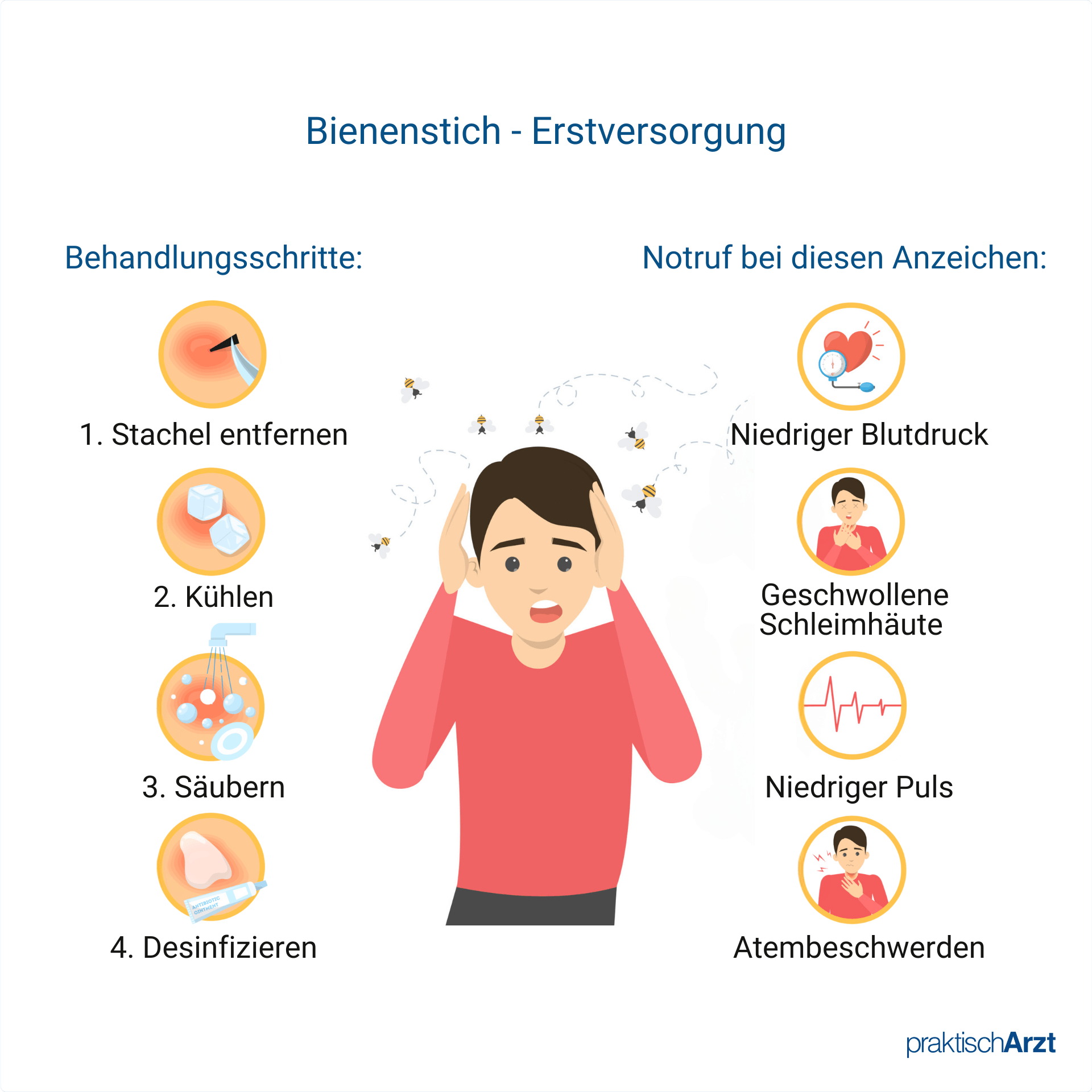 Bienenstich Was Tun